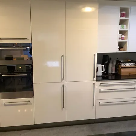 Charmante Maisonnette Avec Grande Terrasse Vue Sur La Limmat Apartament