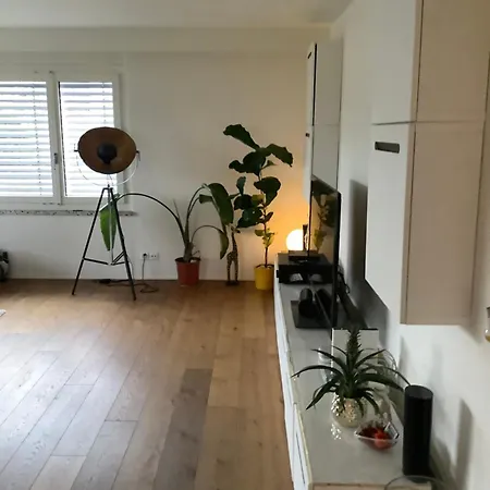 Apartament Charmante Maisonnette Avec Grande Terrasse Vue Sur La Limmat