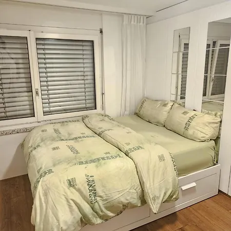 Charmante Maisonnette Avec Grande Terrasse Vue Sur La Limmat Apartament *
